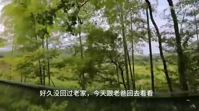 shanji发布vlog：情绪只能自己消化 打职业让家人过上更好的生活